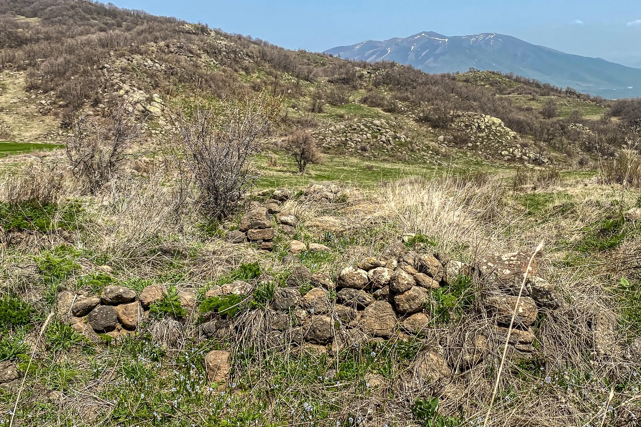 Зейнал-булаг