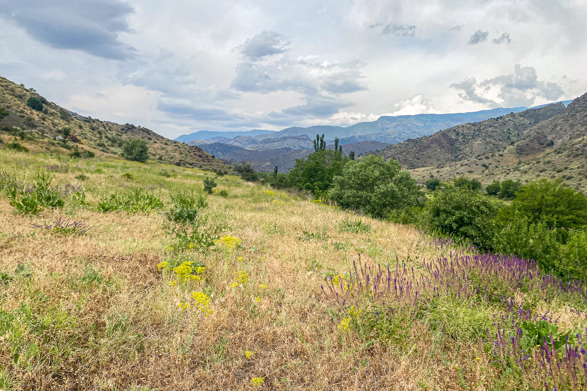 Джамуш-Басан