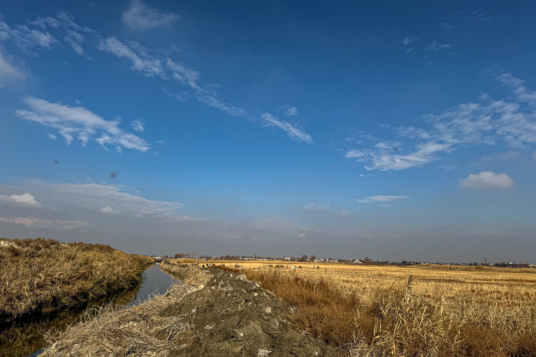 Искандер-абад