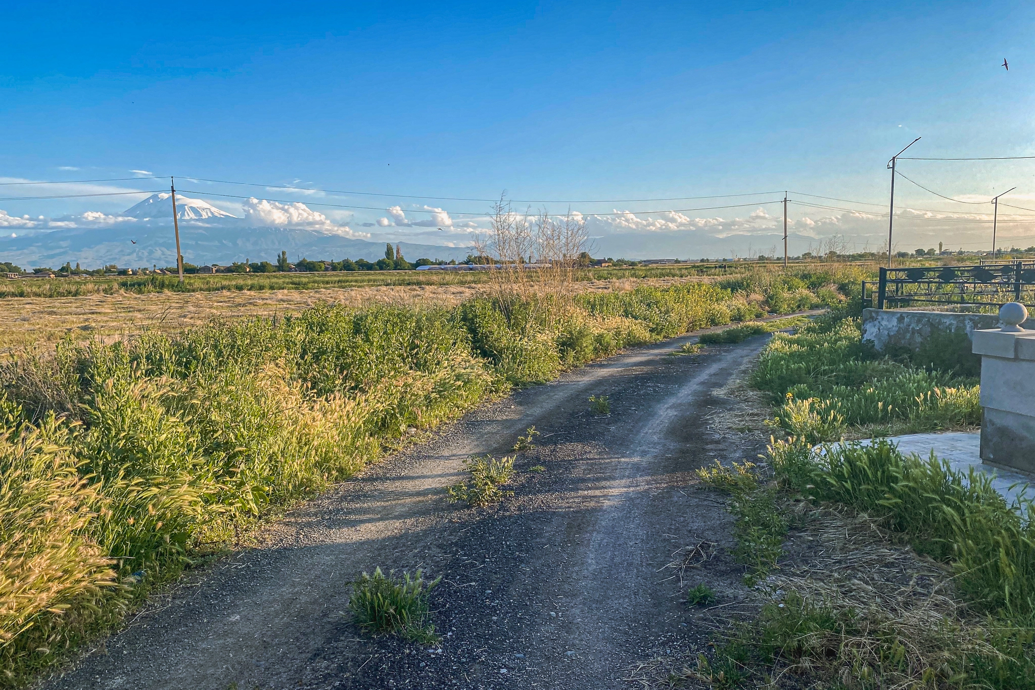 Каракишляг (Айанист)