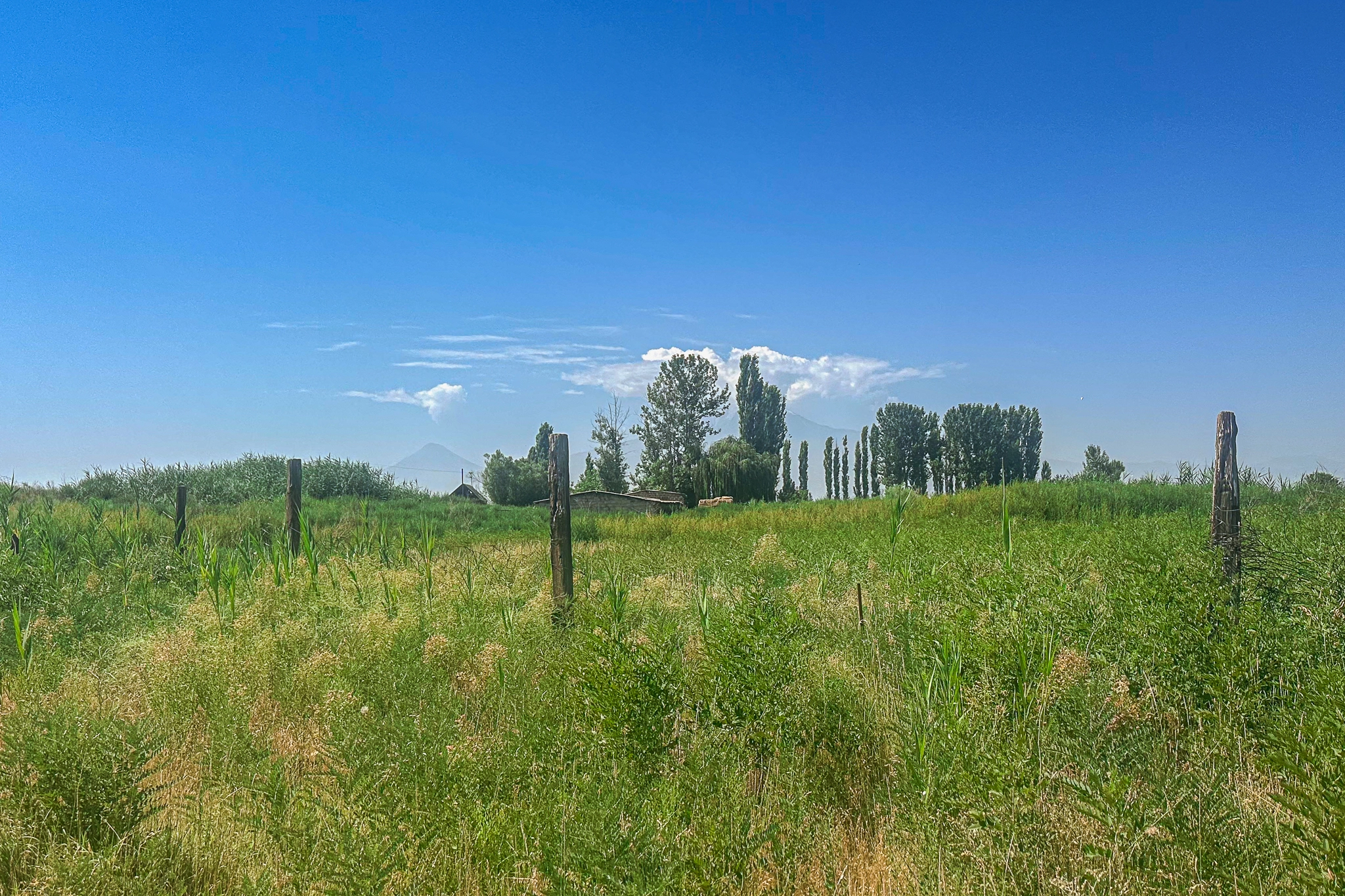 Мухтар-Абад