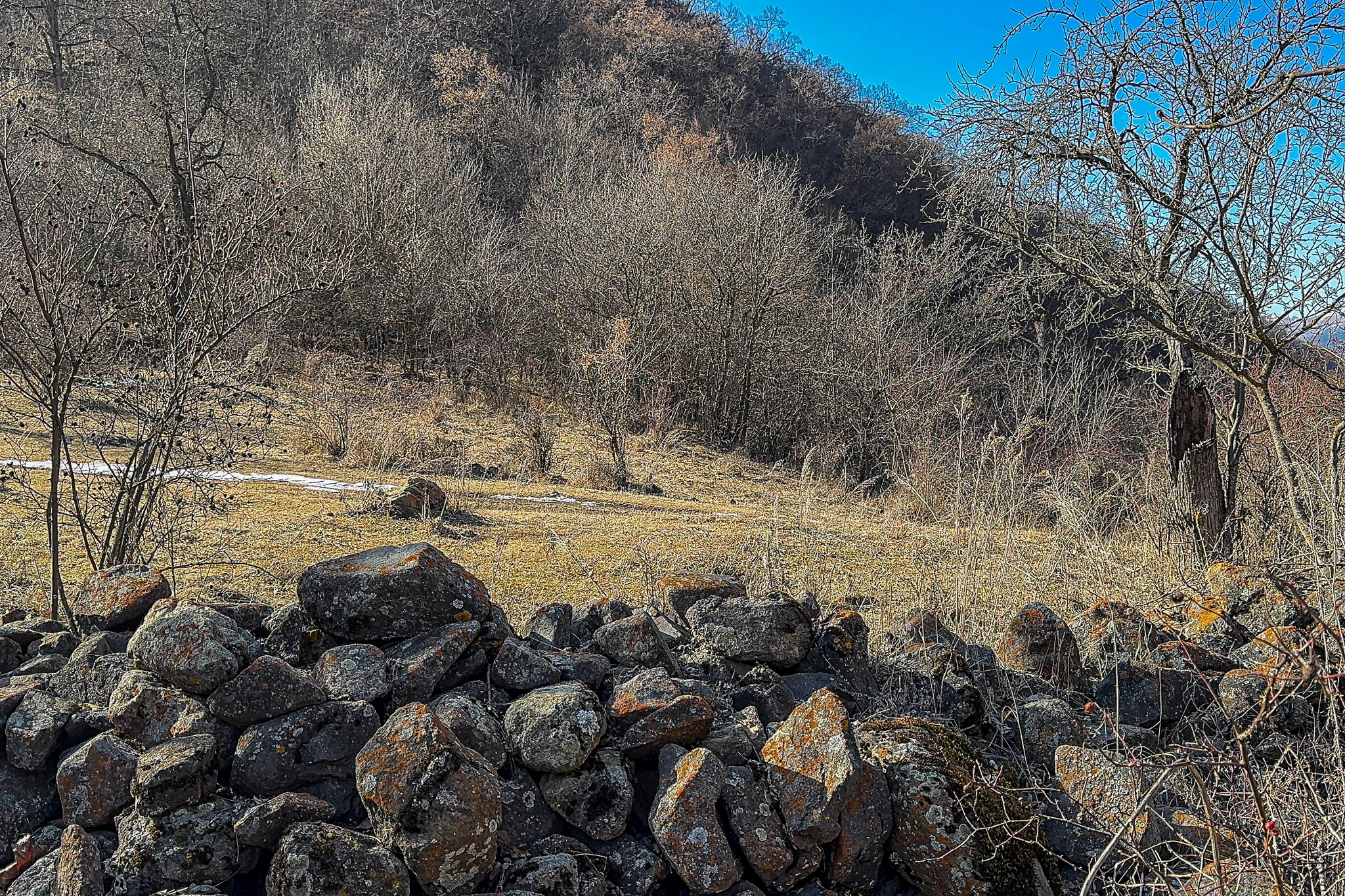 Караахмедли