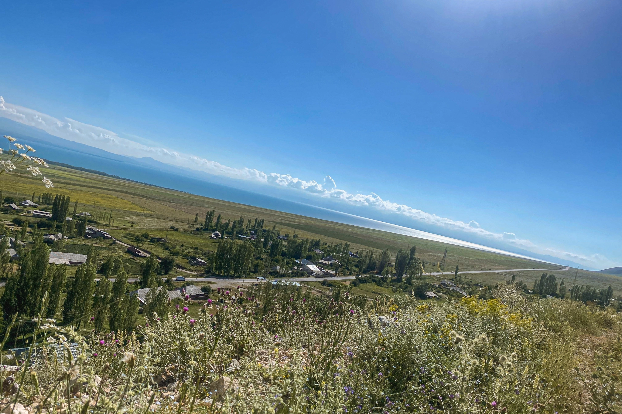 Шишкая (Гегамасар)