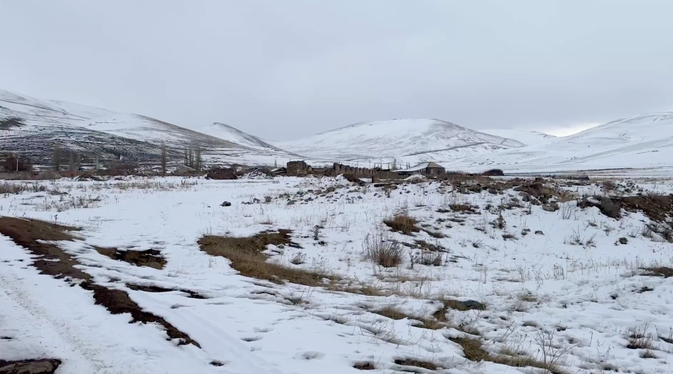 Зарзибиль (Кут)