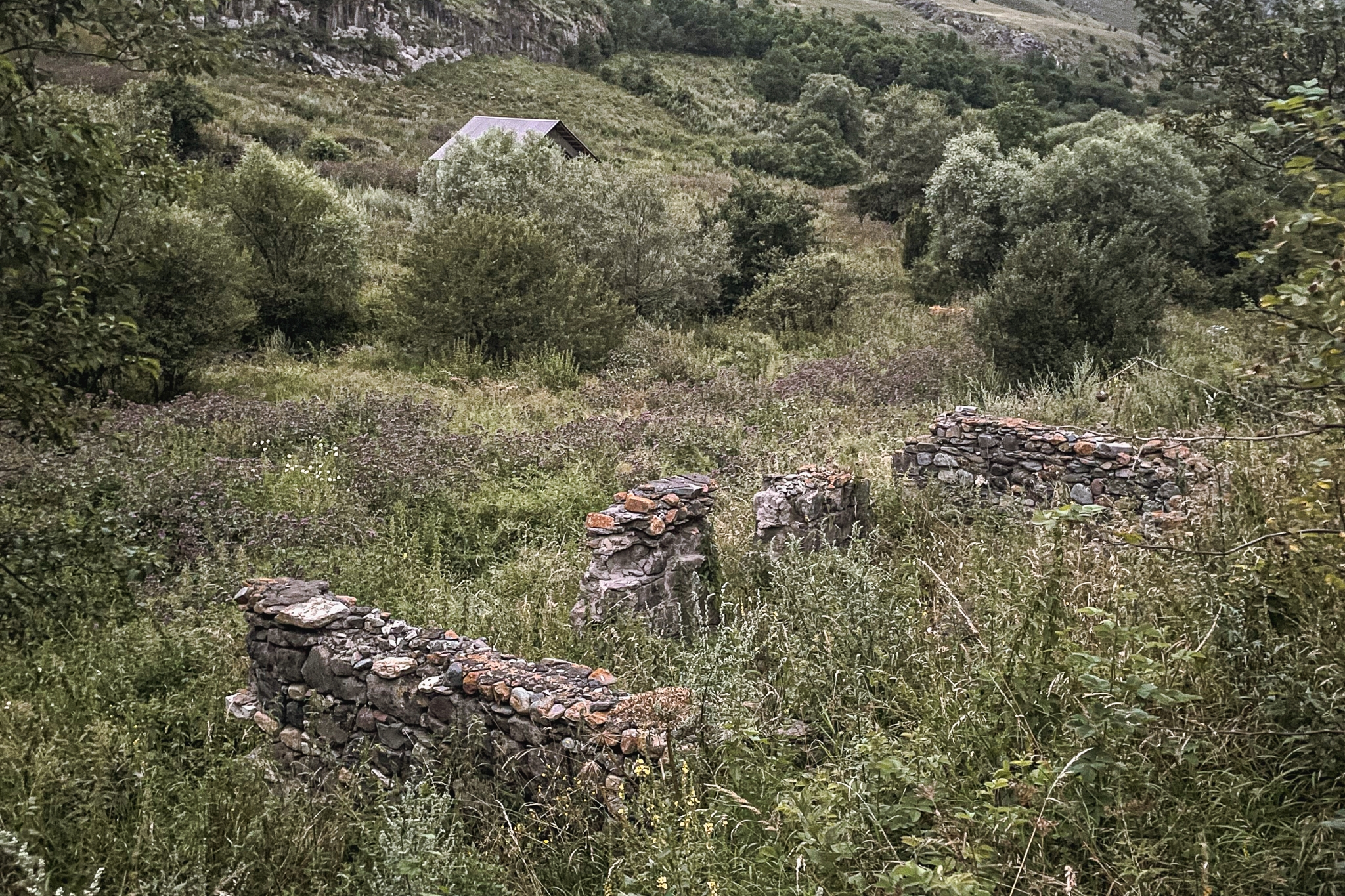 Гайдарли (Цахкоц)