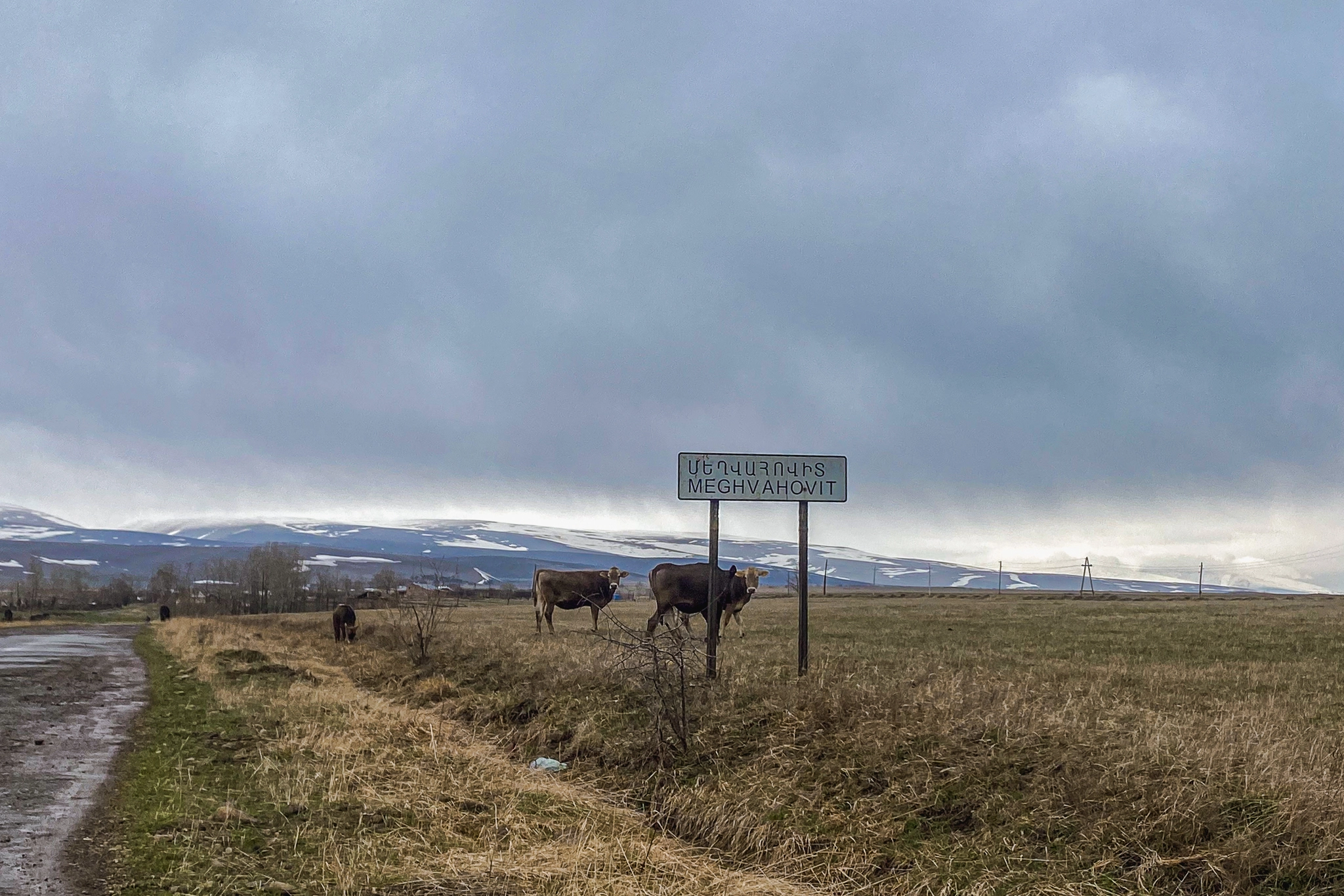 Кара Иса (Мегваовит)