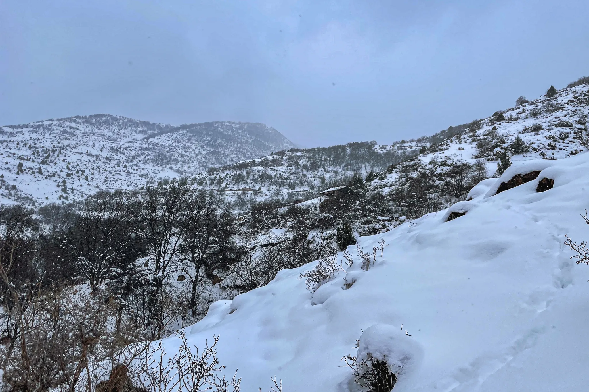 Гиги-Софулы (Гехи)