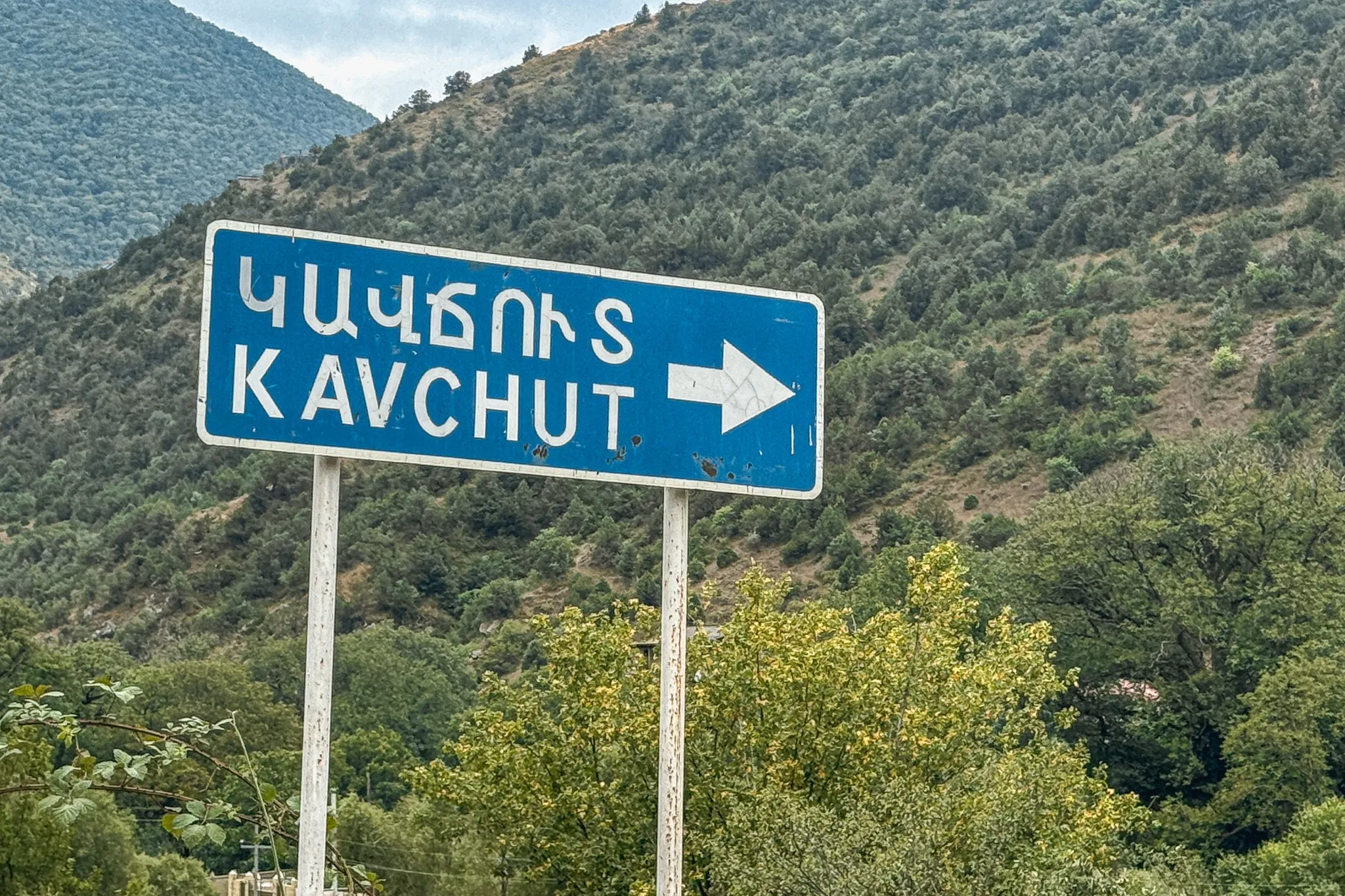 Говшут (Кавчут)