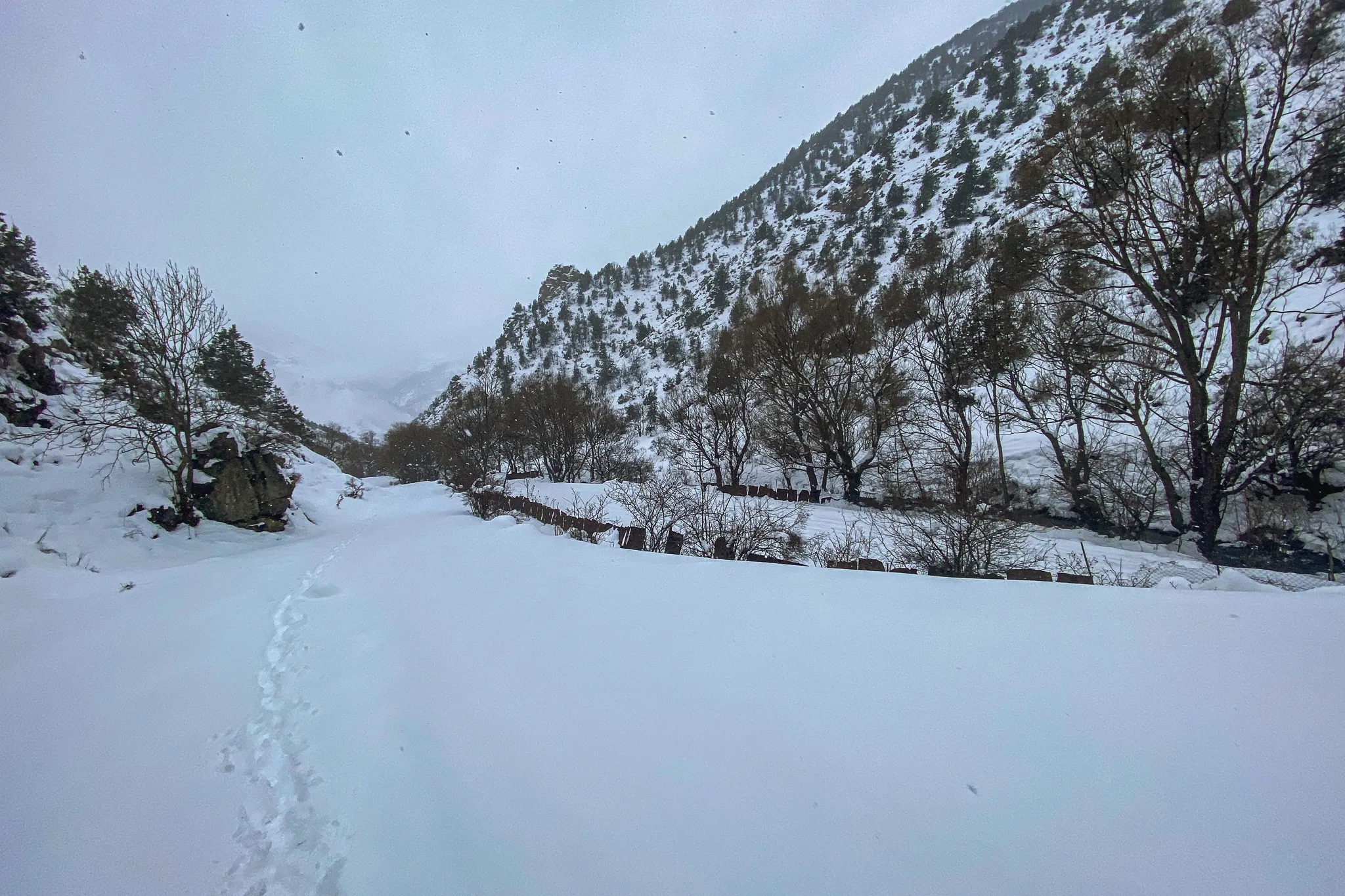 Куруд (Карут)