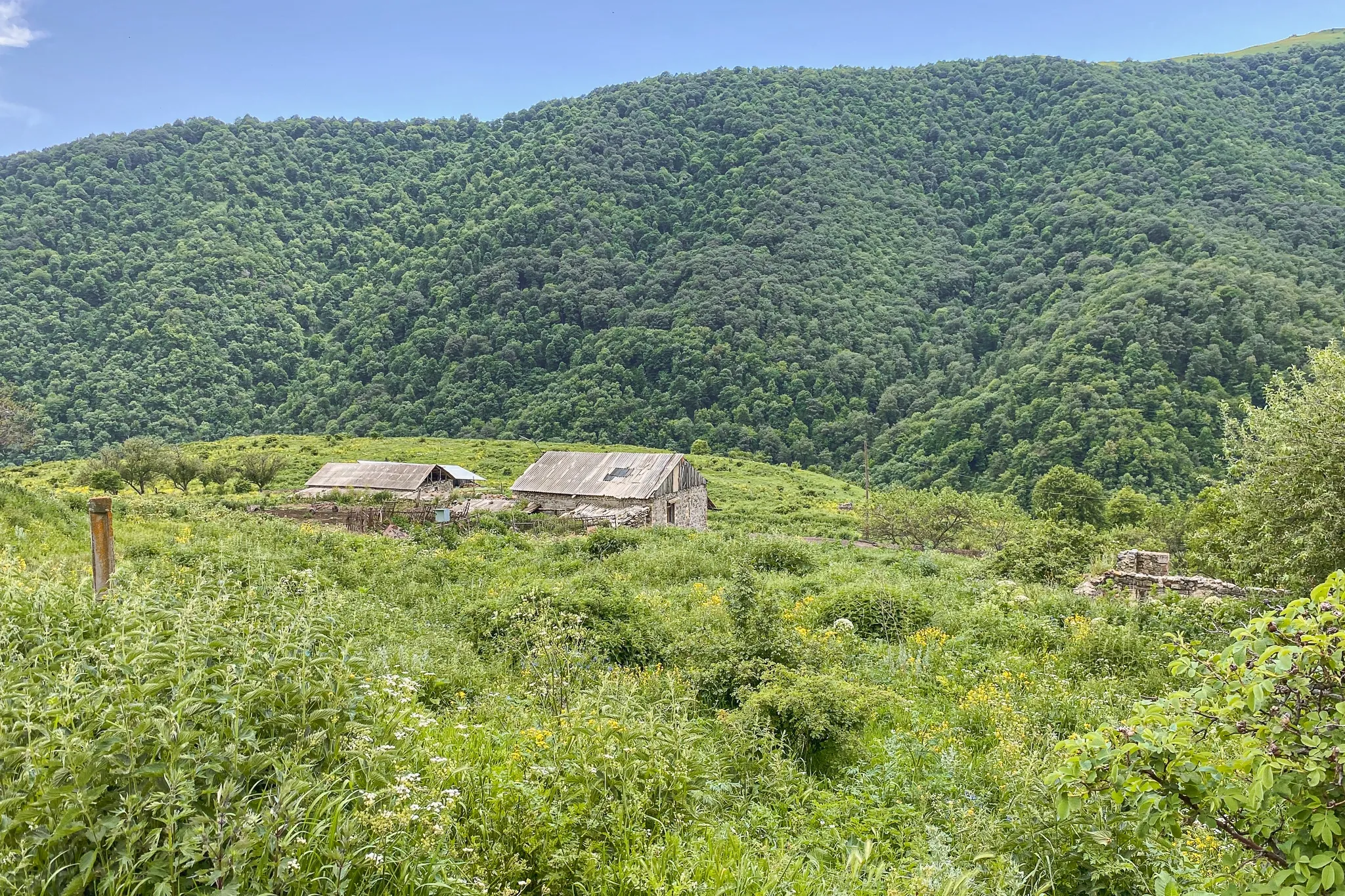 Мртель (Гехатап)