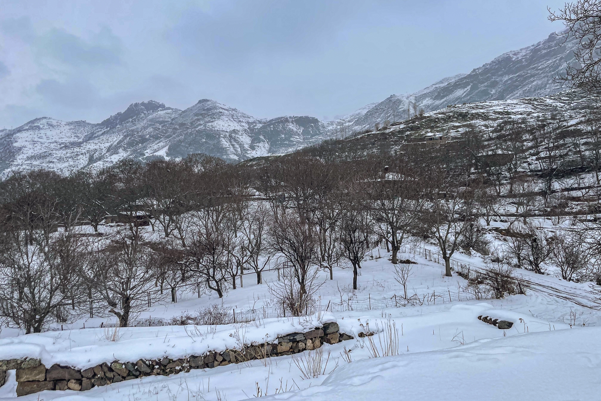 Алагез (Ехегис)