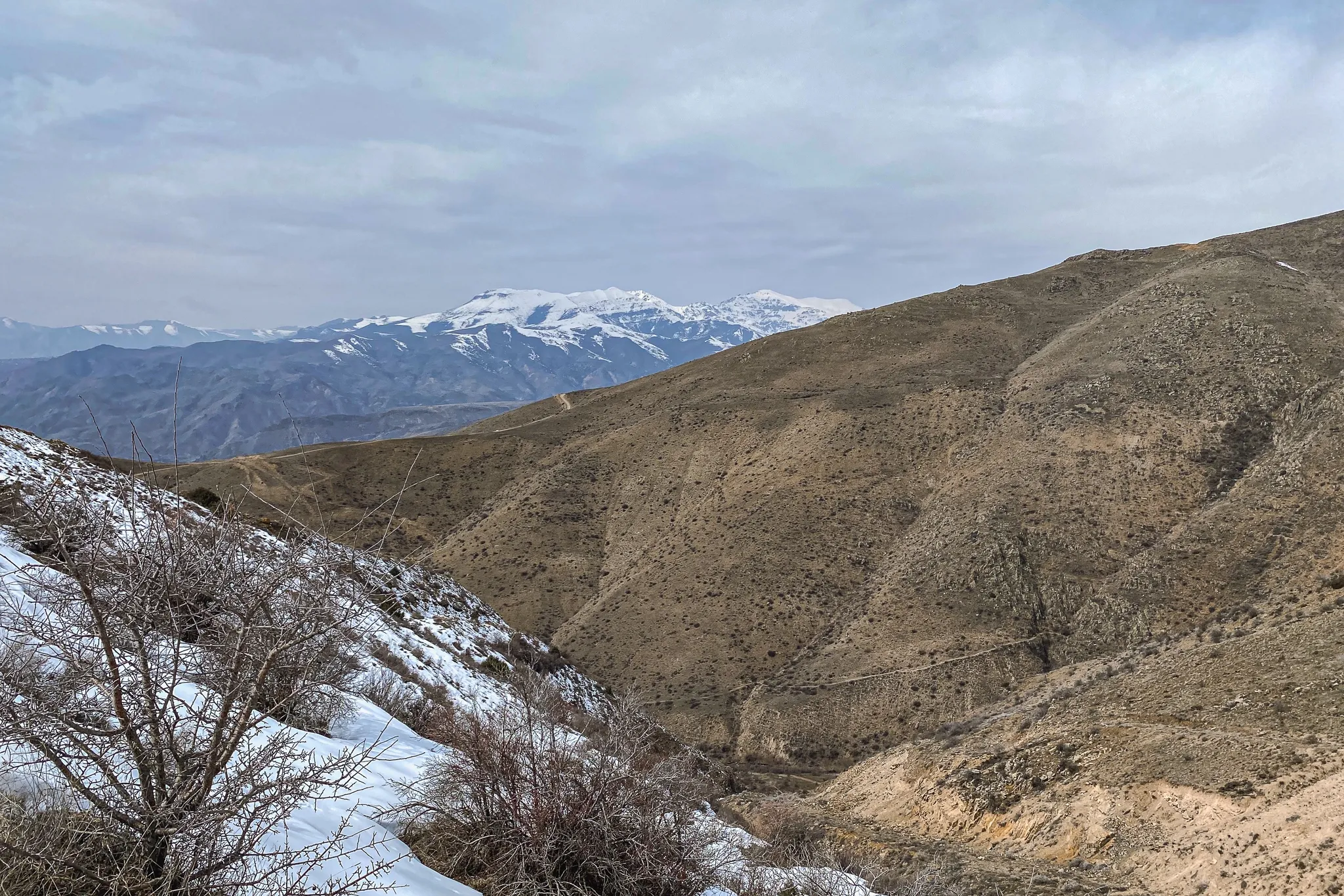 Бюльбюльолан