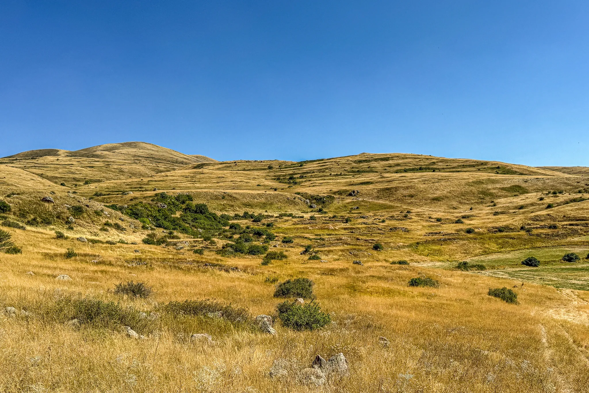 Демурчилар