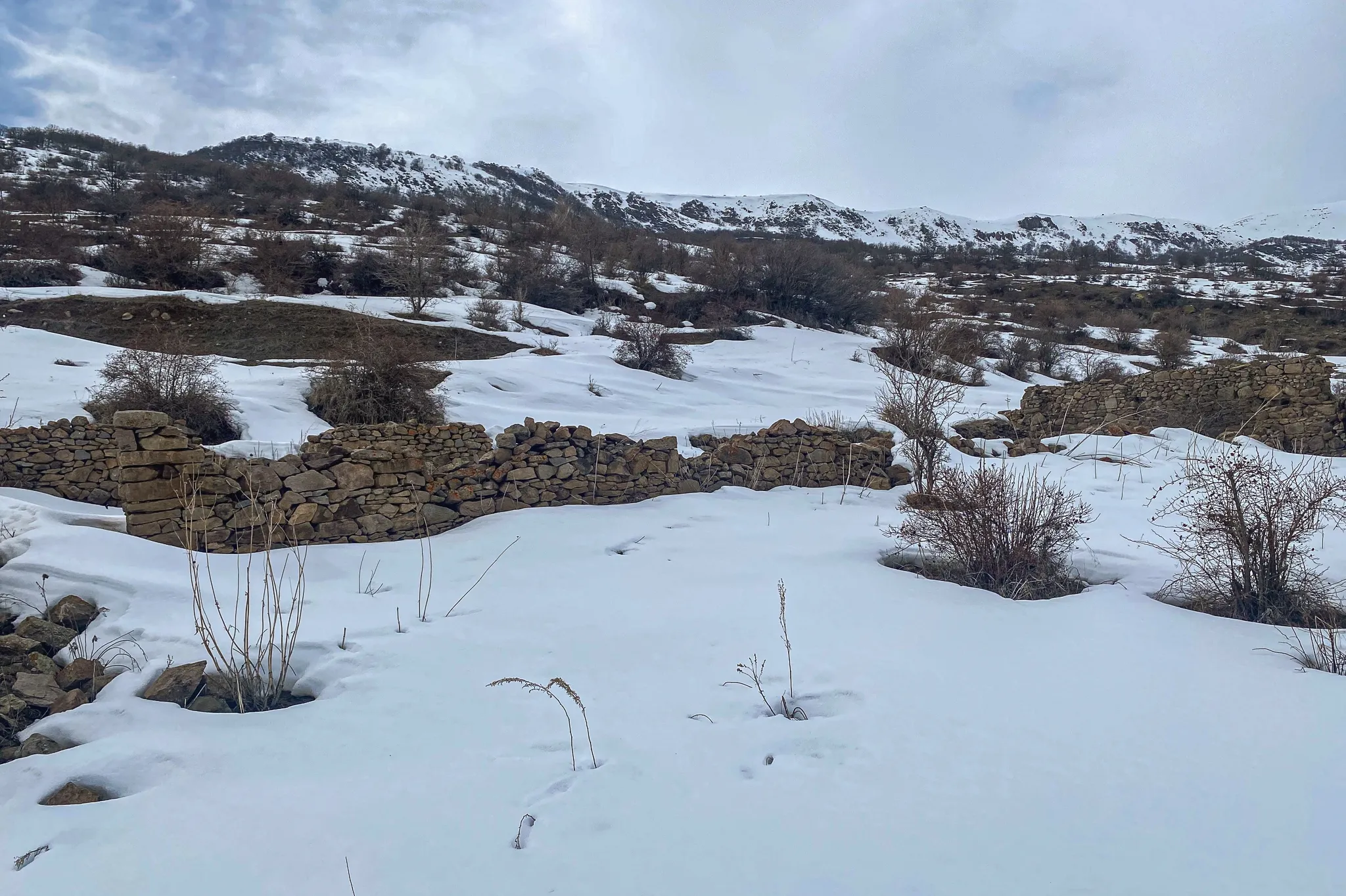 Гюнейванг