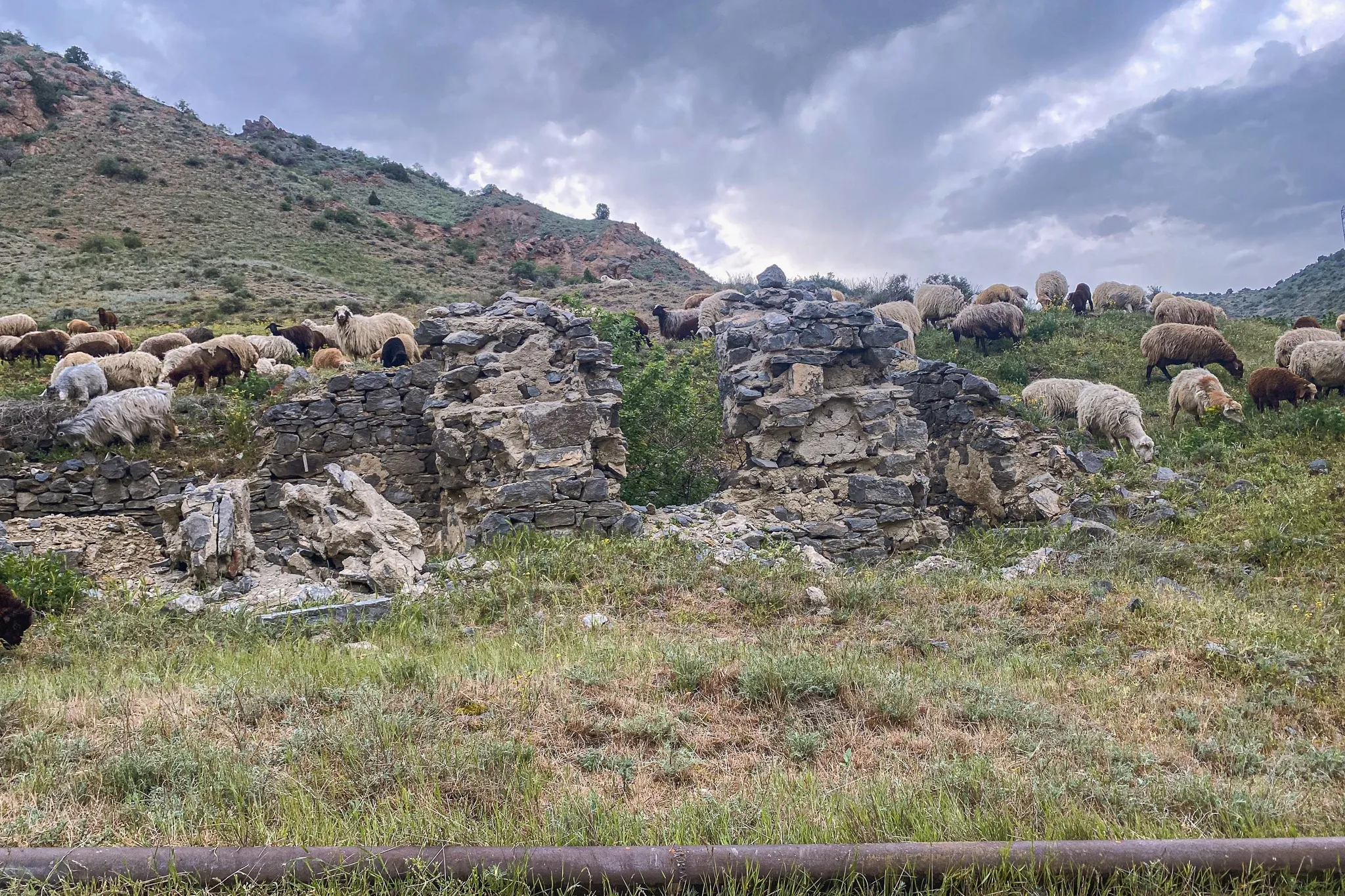 Мама Рза Кишлаги